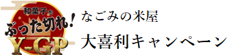 Nagomi's YONEYA Ogiri Campaign, Cutting Japanese Sweets! Y-GP