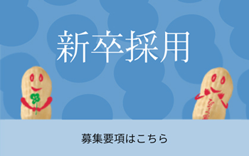 新卒採用