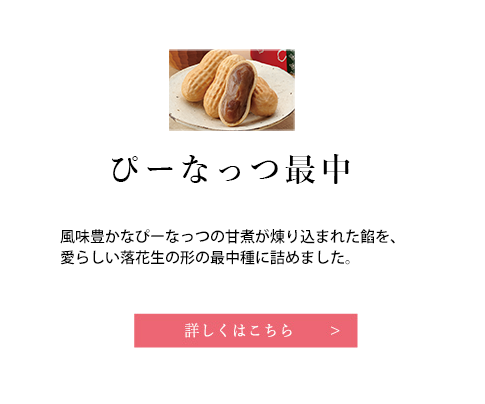 なごみの米屋 成田山表参道 千葉土産 贈り物 季節の和菓子 成田山表参道 千葉土産 贈り物 季節の和菓子